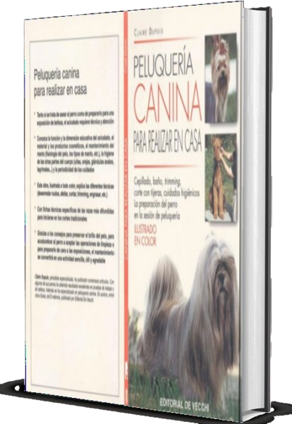imagen_bono3-removebg-preview